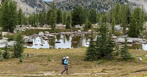 Kristof: Hungry mosquitoes, irritable bears and the glories of wilderness